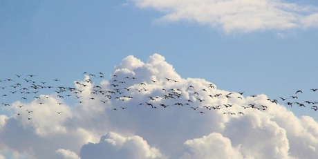 Cloud-to-Cloud Migration Cloud-to-Cloud Migration
