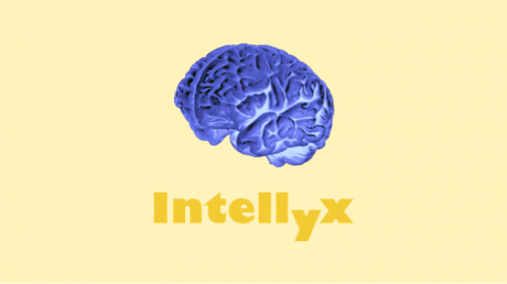 intellyx